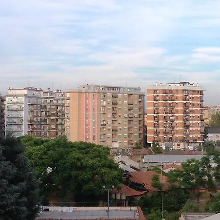 Cassiopea